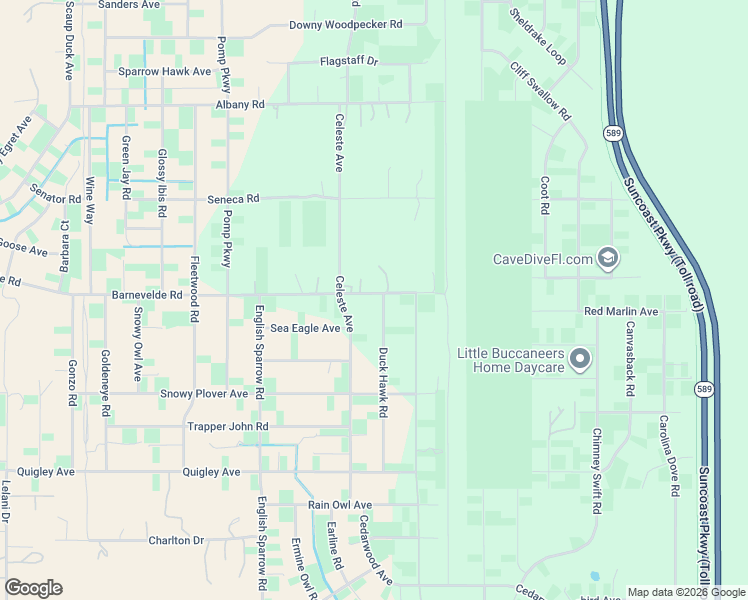 map of restaurants, bars, coffee shops, grocery stores, and more near 13353 Barnevelde Road in Weeki Wachee