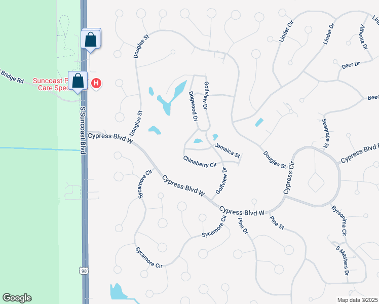 map of restaurants, bars, coffee shops, grocery stores, and more near 59 Jamaica Street in Homosassa