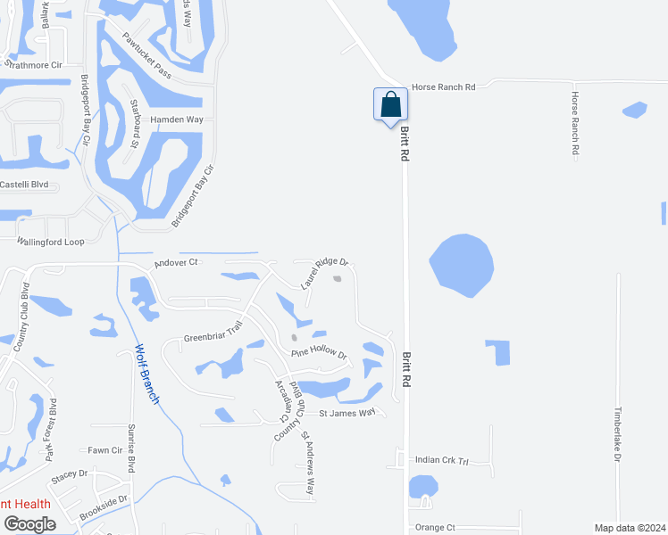 map of restaurants, bars, coffee shops, grocery stores, and more near 9020 Laurel Ridge Drive in Mount Dora