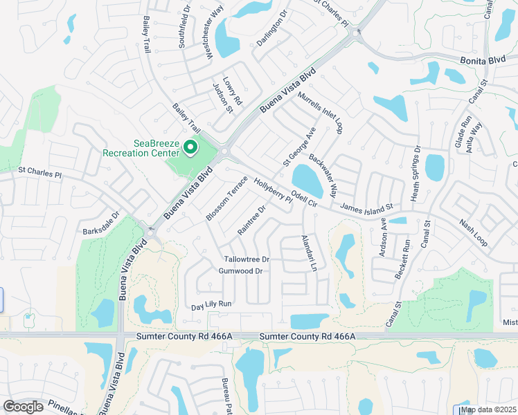 map of restaurants, bars, coffee shops, grocery stores, and more near 2522 Raintree Drive in The Villages