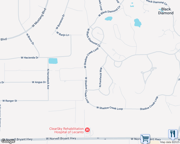 map of restaurants, bars, coffee shops, grocery stores, and more near 3845 West Shadow Creek Loop in Lecanto