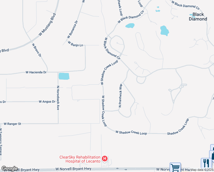 map of restaurants, bars, coffee shops, grocery stores, and more near 3845 West Shadow Creek Loop in Lecanto