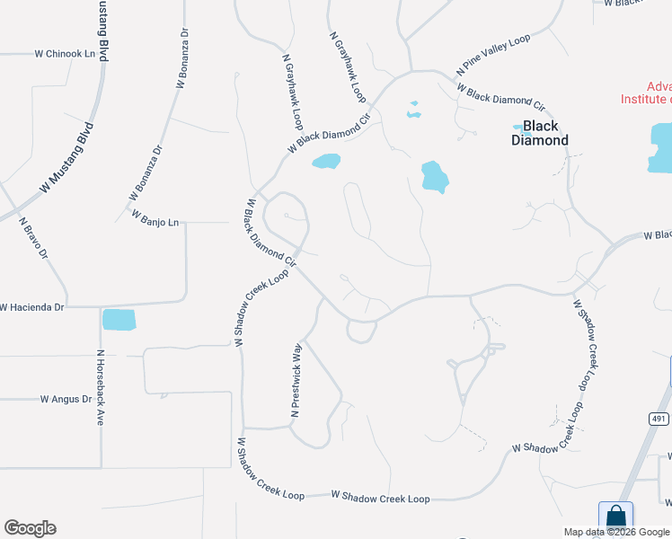 map of restaurants, bars, coffee shops, grocery stores, and more near 3700 West Treyburn Path in Lecanto