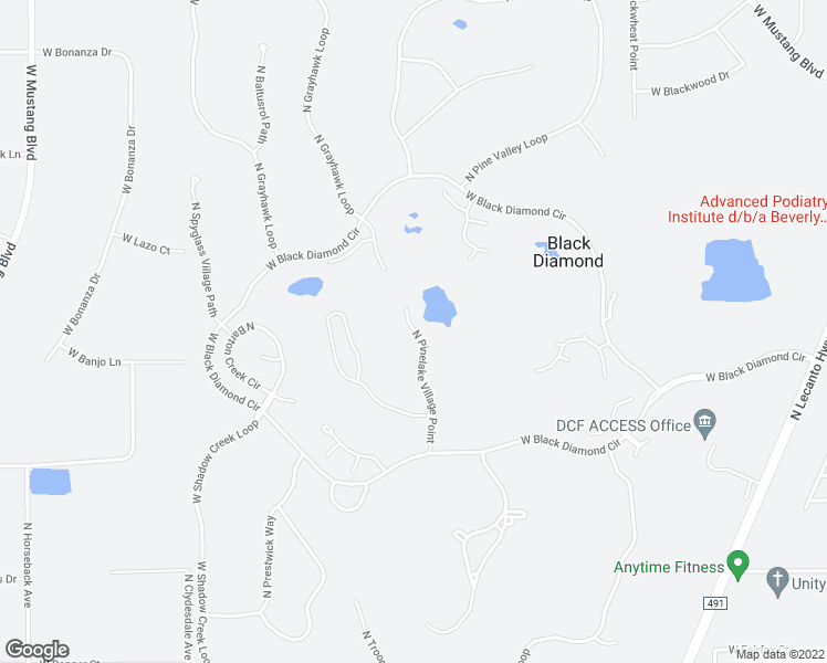 map of restaurants, bars, coffee shops, grocery stores, and more near 3180 North Pinelake Village Point in Lecanto