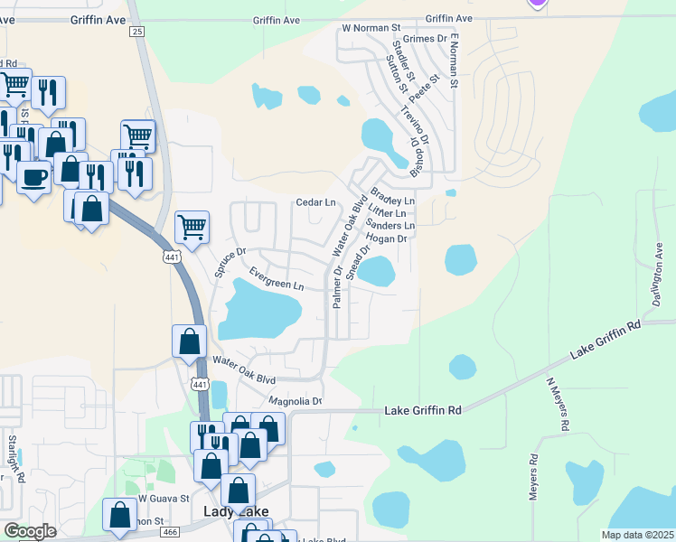 map of restaurants, bars, coffee shops, grocery stores, and more near 599 Palmer Drive in Lady Lake