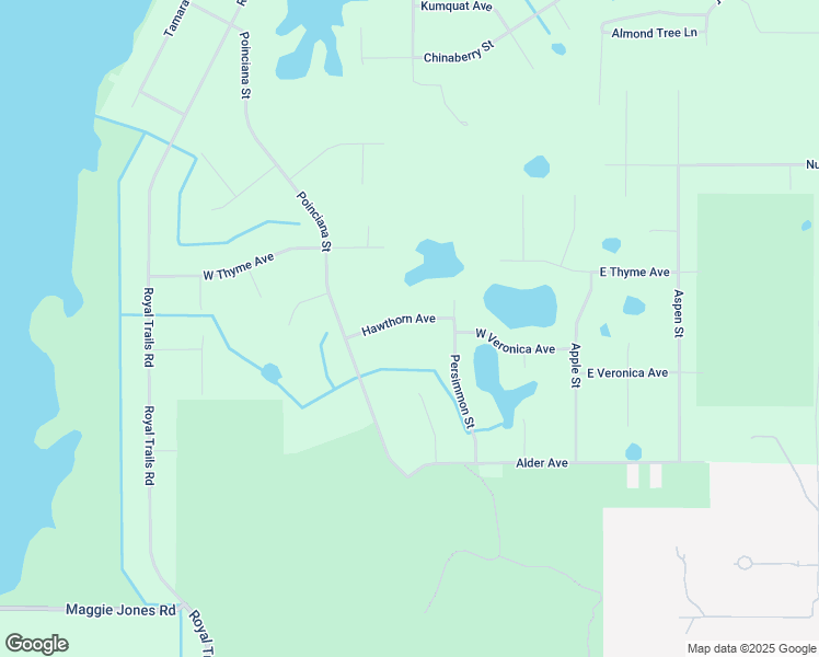 map of restaurants, bars, coffee shops, grocery stores, and more near 30526 Hawthorn Avenue in Eustis