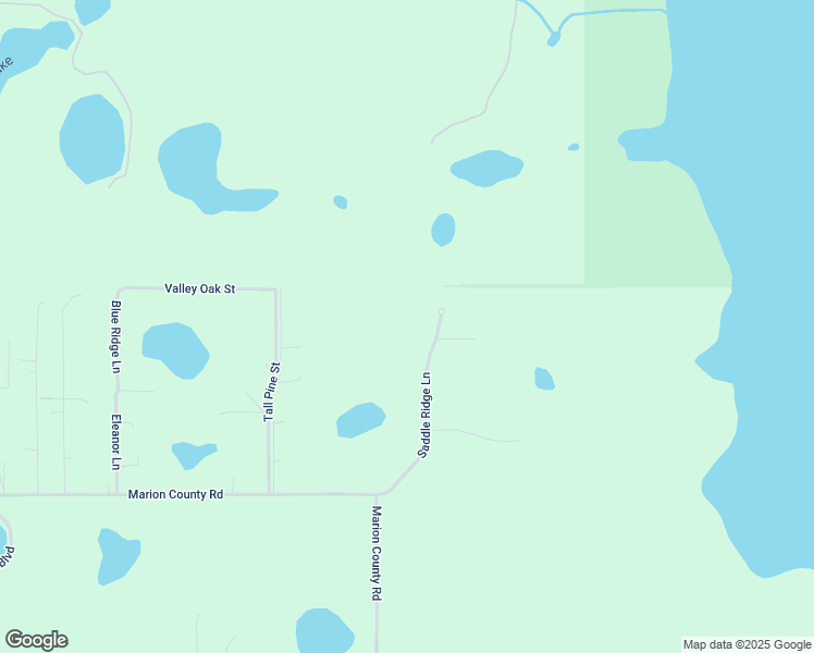 map of restaurants, bars, coffee shops, grocery stores, and more near 41529 Saddle Ridge Lane in Lady Lake