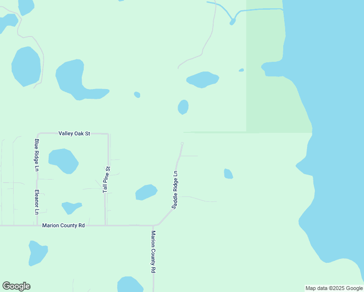 map of restaurants, bars, coffee shops, grocery stores, and more near 41529 Saddle Ridge Lane in Lady Lake