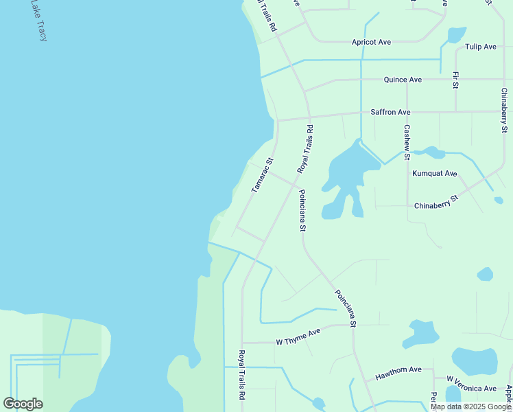 map of restaurants, bars, coffee shops, grocery stores, and more near 42038 Tamarac Street in Eustis