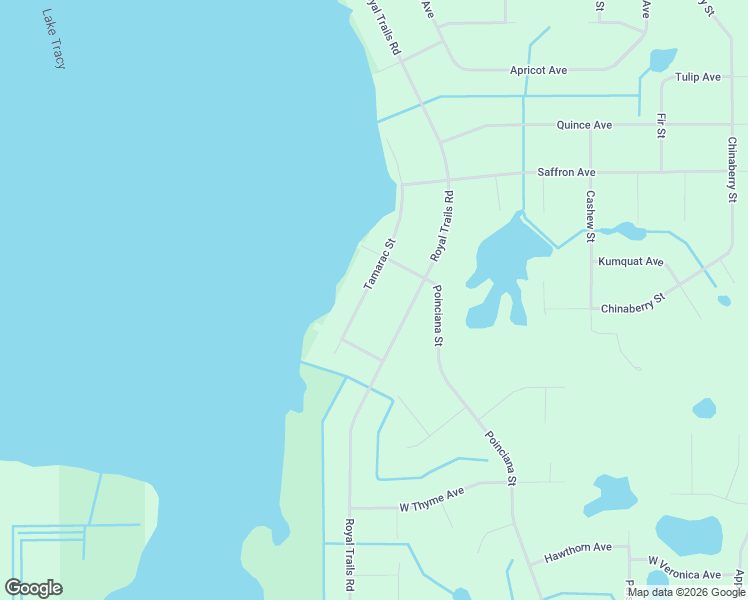 map of restaurants, bars, coffee shops, grocery stores, and more near 42038 Tamarac Street in Eustis