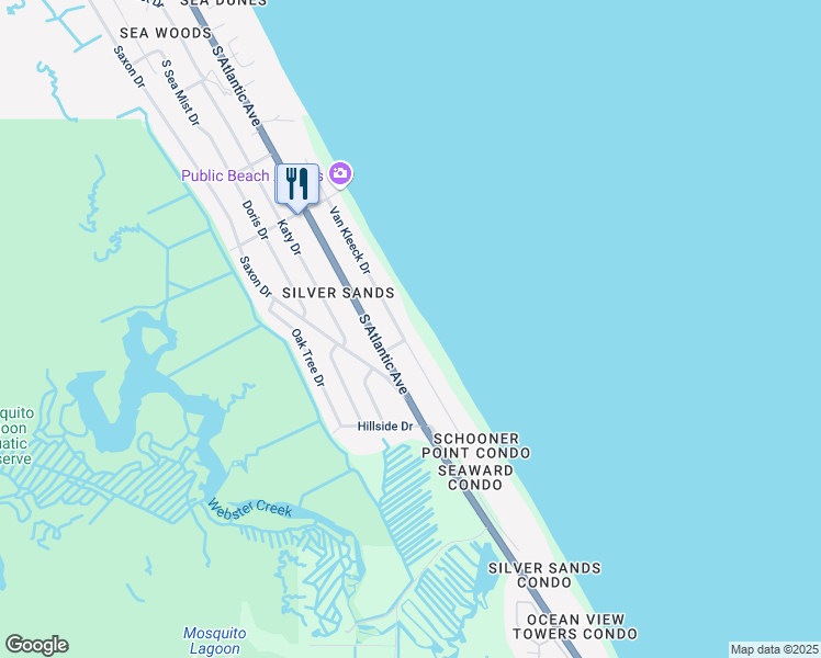 map of restaurants, bars, coffee shops, grocery stores, and more near 4647 Van Kleeck Drive in New Smyrna Beach