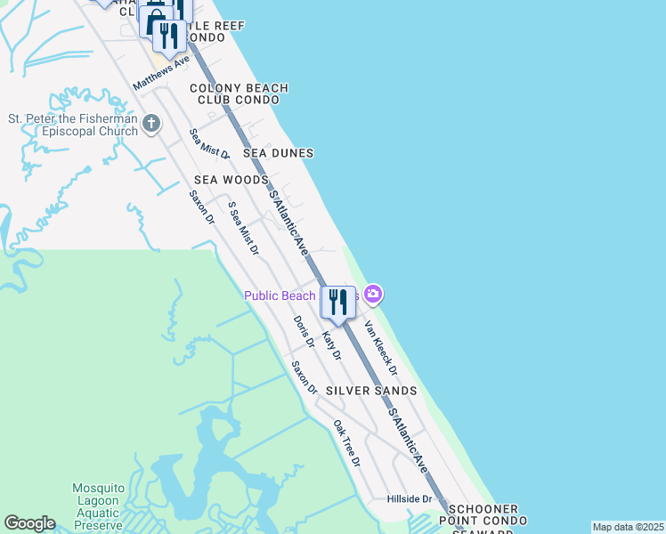 map of restaurants, bars, coffee shops, grocery stores, and more near 4503 County Road A1A in New Smyrna Beach