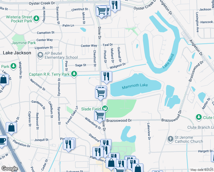 map of restaurants, bars, coffee shops, grocery stores, and more near 330 Dixie Drive in Lake Jackson