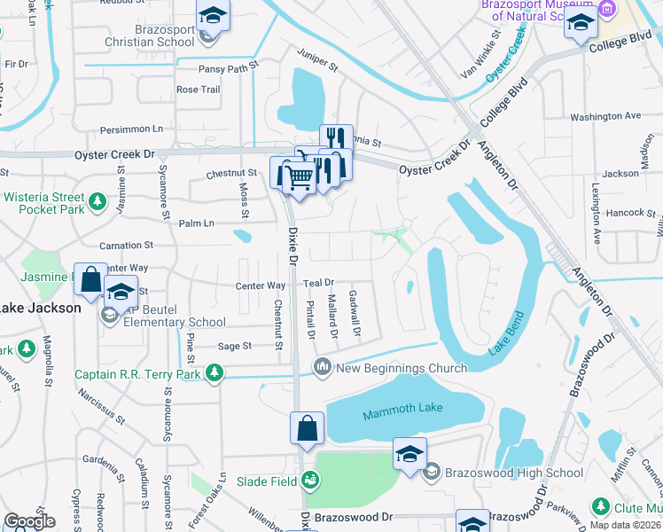 map of restaurants, bars, coffee shops, grocery stores, and more near 203 Meadow Ridge Way in Clute