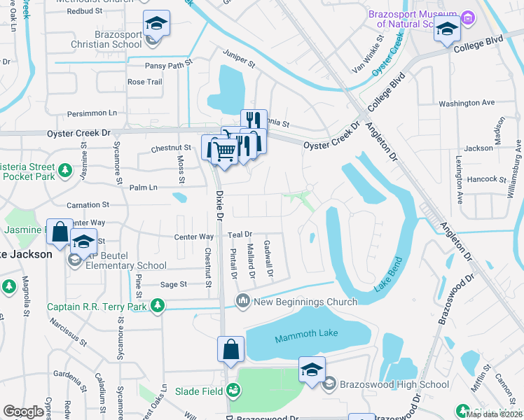 map of restaurants, bars, coffee shops, grocery stores, and more near 203 Meadow Ridge Way in Clute