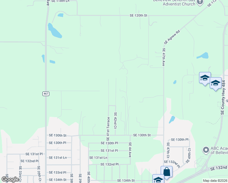 map of restaurants, bars, coffee shops, grocery stores, and more near 12626 Southeast 42nd Court in Belleview