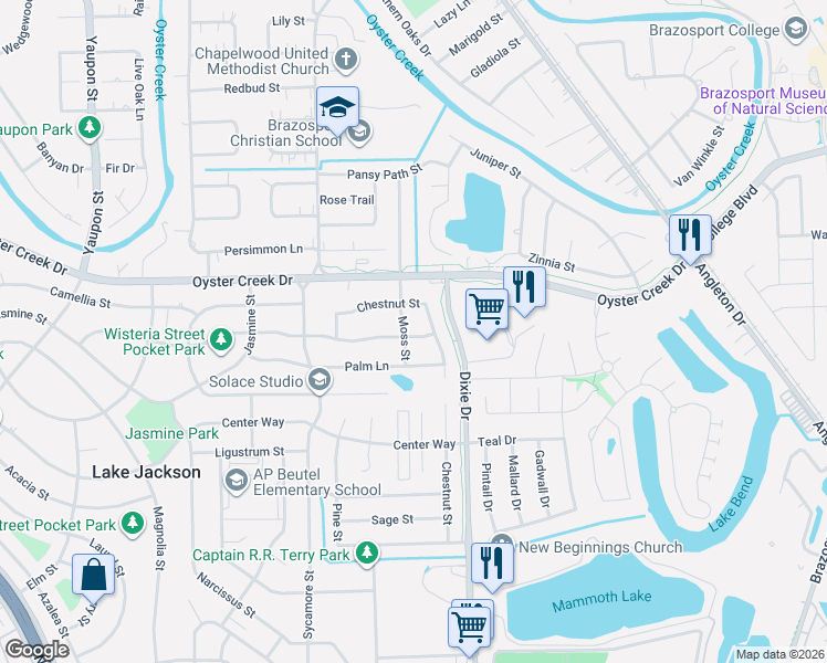 map of restaurants, bars, coffee shops, grocery stores, and more near 111 Moss Street in Lake Jackson