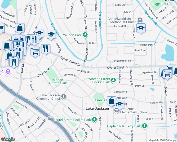 map of restaurants, bars, coffee shops, grocery stores, and more near 209 Camellia Street in Lake Jackson