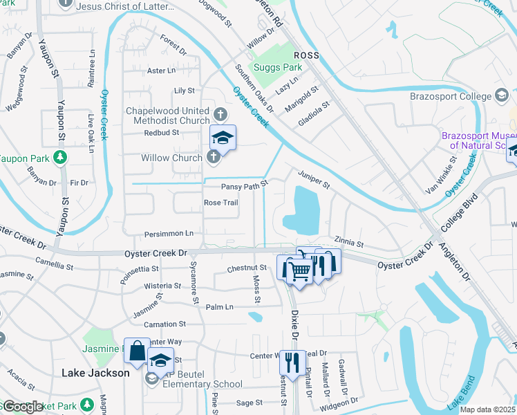 map of restaurants, bars, coffee shops, grocery stores, and more near 116 Portulaca Street in Lake Jackson