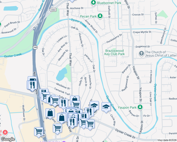 map of restaurants, bars, coffee shops, grocery stores, and more near 246 Birch Street in Lake Jackson