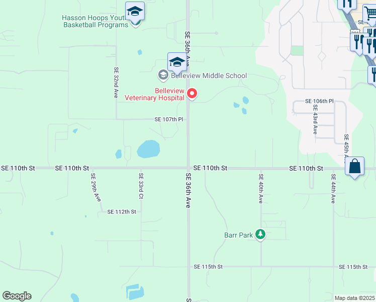map of restaurants, bars, coffee shops, grocery stores, and more near Southeast 36th Avenue in Belleview