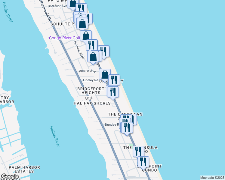 map of restaurants, bars, coffee shops, grocery stores, and more near in Daytona Beach Shores