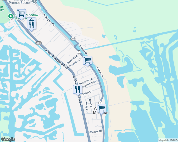 map of restaurants, bars, coffee shops, grocery stores, and more near 201-217 Washington Street in Golden Meadow