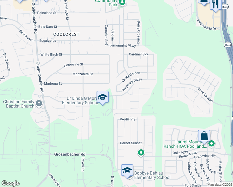 map of restaurants, bars, coffee shops, grocery stores, and more near 1407 Scent of Basil in San Antonio