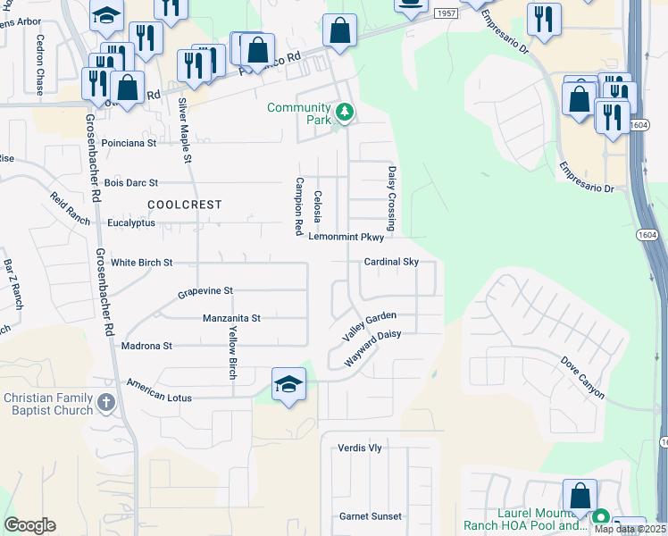 map of restaurants, bars, coffee shops, grocery stores, and more near 1007 Daffodil Way in San Antonio