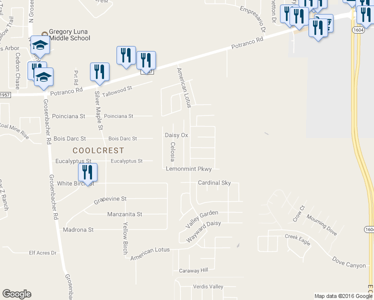 map of restaurants, bars, coffee shops, grocery stores, and more near 734 Chamomile in San Antonio