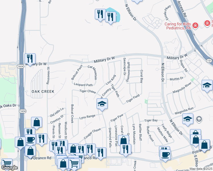 map of restaurants, bars, coffee shops, grocery stores, and more near 1140 Lion King in San Antonio