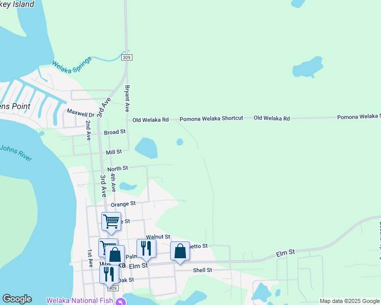 map of restaurants, bars, coffee shops, grocery stores, and more near 611 Old Welaka Road in Welaka