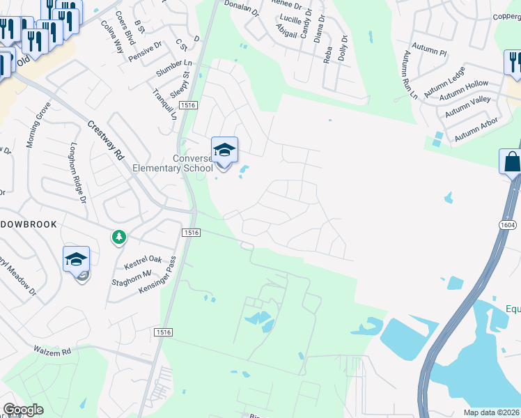 map of restaurants, bars, coffee shops, grocery stores, and more near 6534 Farm to Market 1516 in Converse