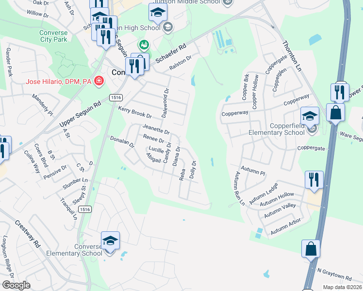 map of restaurants, bars, coffee shops, grocery stores, and more near 313 Diana Drive in Converse