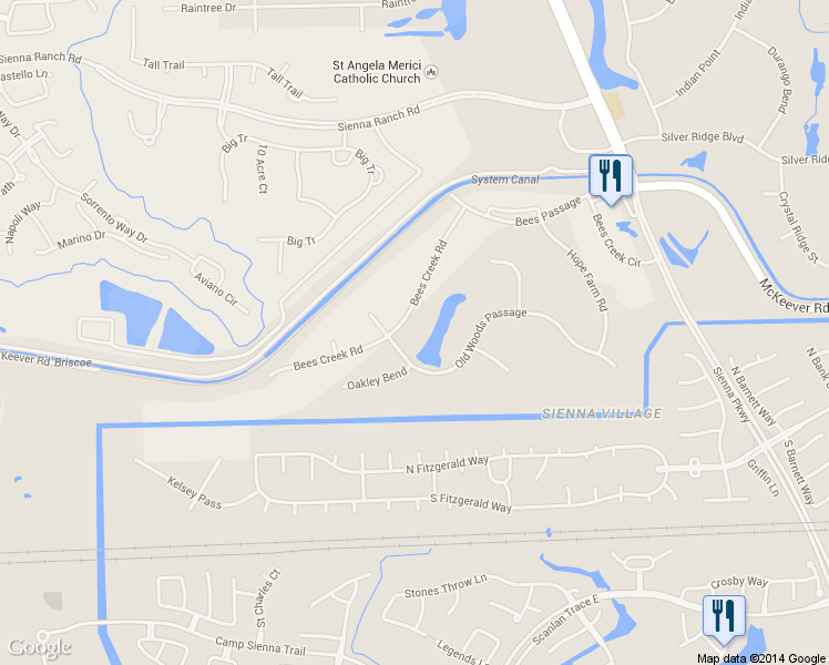 map of restaurants, bars, coffee shops, grocery stores, and more near 46 Bees Creek Road in Missouri City