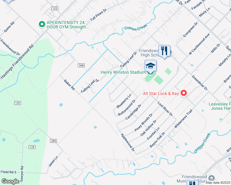 map of restaurants, bars, coffee shops, grocery stores, and more near 1402 Beechwood Drive in Friendswood