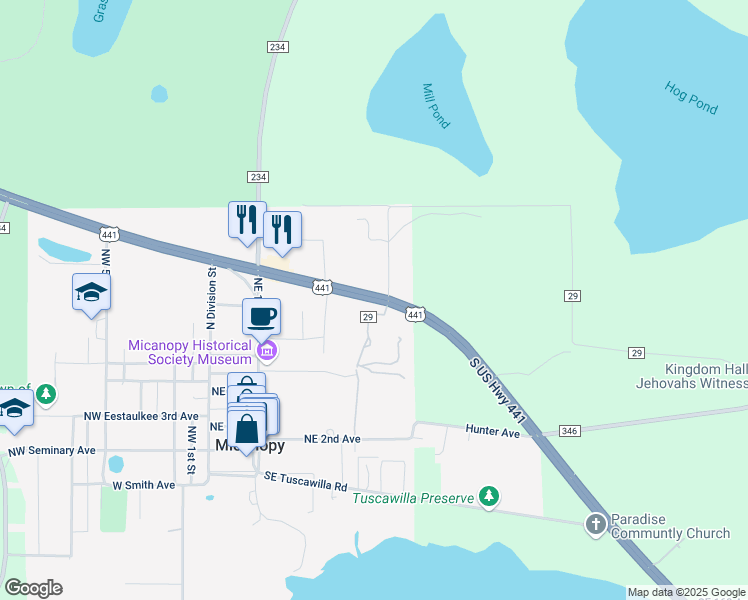 map of restaurants, bars, coffee shops, grocery stores, and more near U.S. 441 in Micanopy