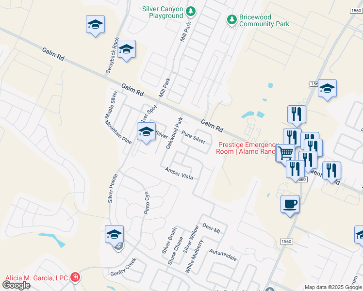 map of restaurants, bars, coffee shops, grocery stores, and more near 11923 Silver Coins in San Antonio
