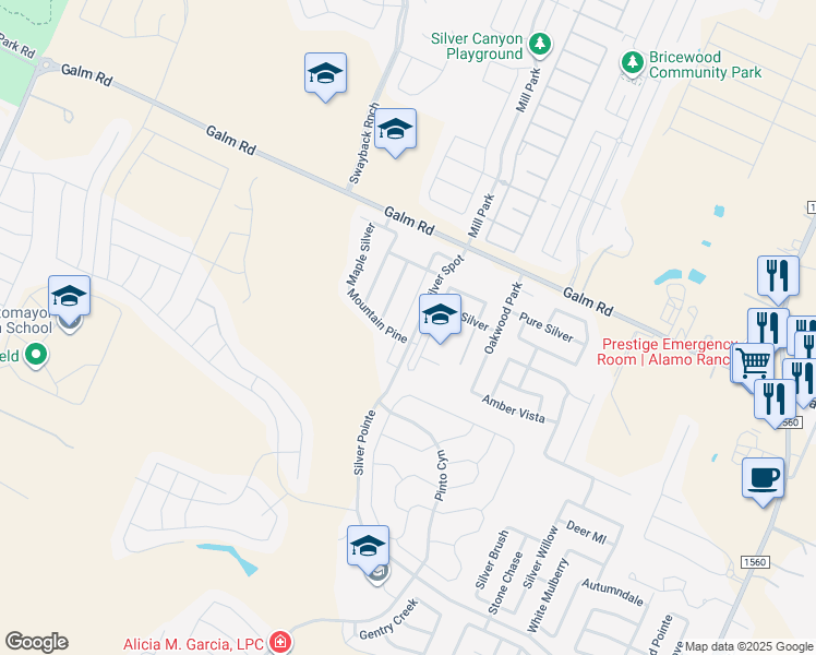 map of restaurants, bars, coffee shops, grocery stores, and more near 9202 Silver Vista in San Antonio
