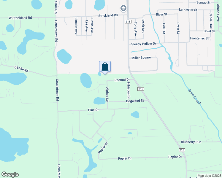 map of restaurants, bars, coffee shops, grocery stores, and more near 111 Alphea Lane in Interlachen