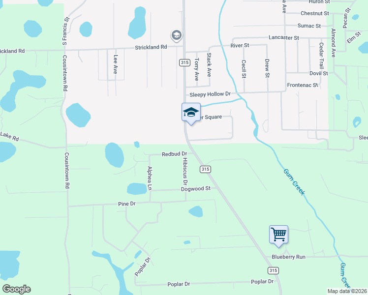 map of restaurants, bars, coffee shops, grocery stores, and more near 337 County Road 315 in Interlachen