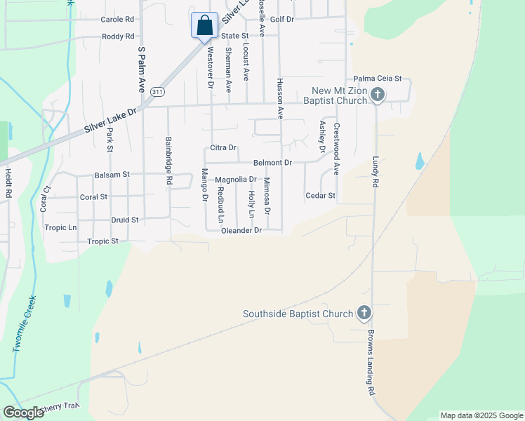 map of restaurants, bars, coffee shops, grocery stores, and more near 216 Mimosa Drive in Palatka