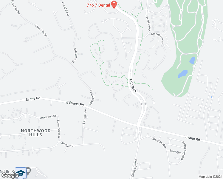 map of restaurants, bars, coffee shops, grocery stores, and more near 4315 Lignoso in San Antonio