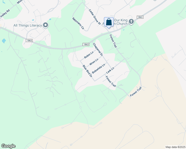 map of restaurants, bars, coffee shops, grocery stores, and more near 447 Bobwhite Lane in New Braunfels