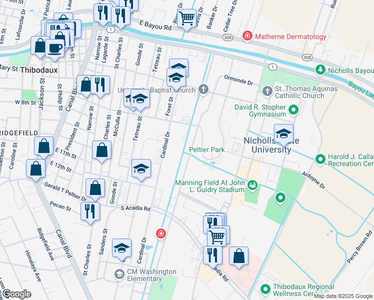 map of restaurants, bars, coffee shops, grocery stores, and more near 726 Bayou Lane in Thibodaux