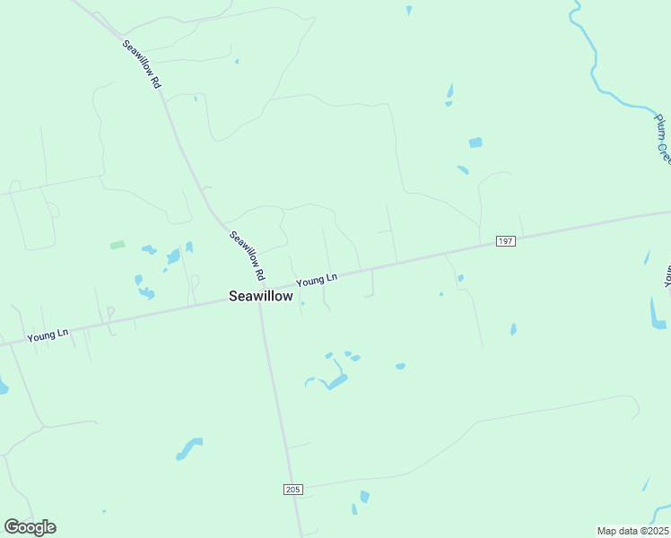 map of restaurants, bars, coffee shops, grocery stores, and more near 2135 Young Lane in Lockhart