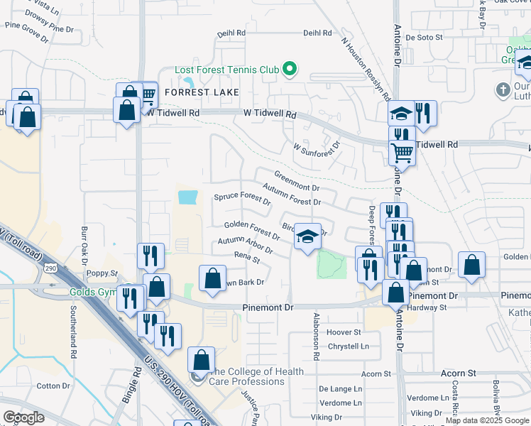 map of restaurants, bars, coffee shops, grocery stores, and more near 6107 Spruce Forest Drive in Houston