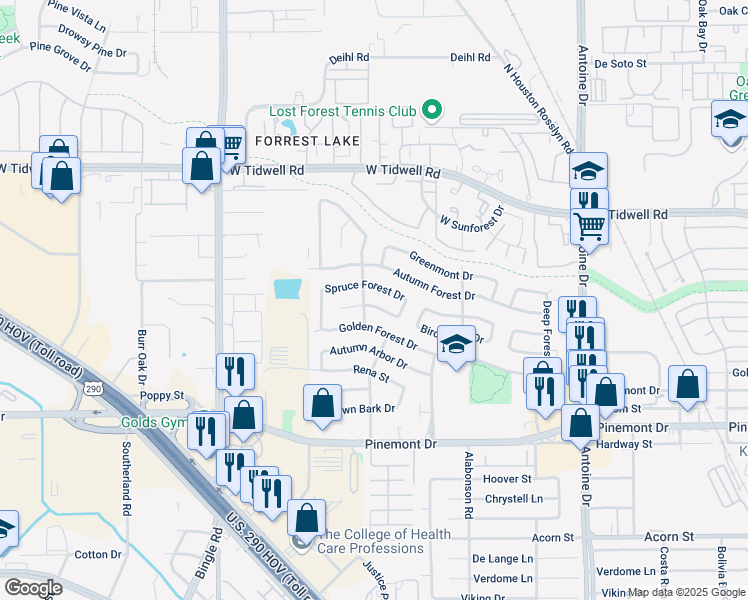 map of restaurants, bars, coffee shops, grocery stores, and more near 6154 Birchmont Drive in Houston