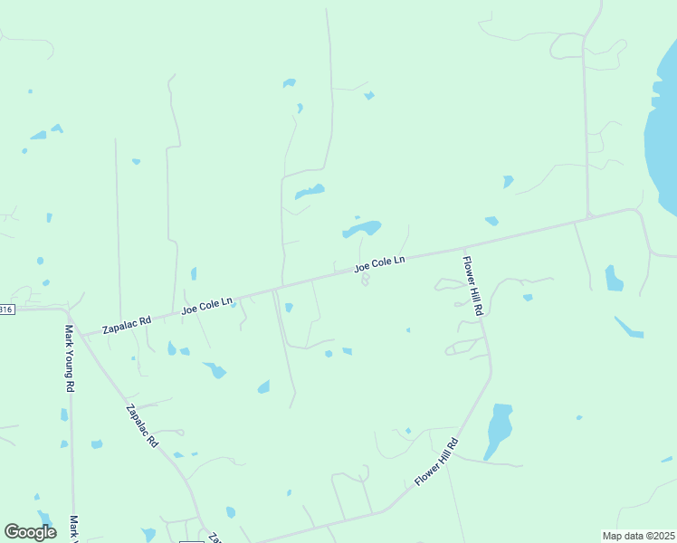 map of restaurants, bars, coffee shops, grocery stores, and more near 246 Joe Cole Lane in Smithville