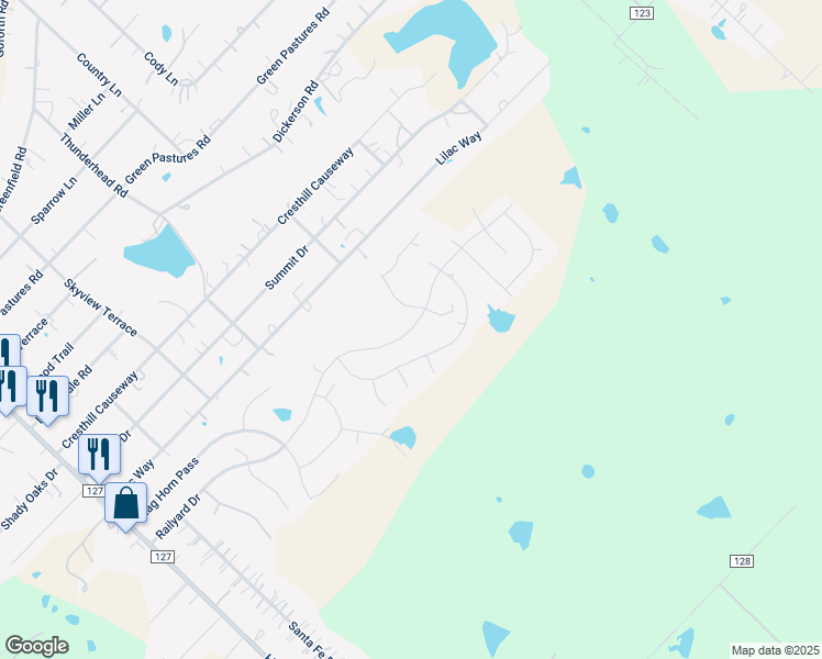 map of restaurants, bars, coffee shops, grocery stores, and more near 1029 Railyard Drive in Kyle